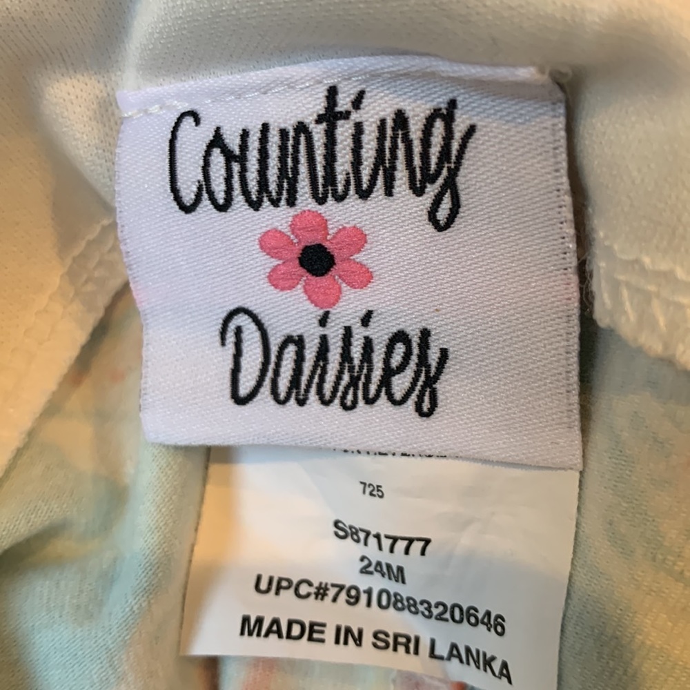 Counting Daisies Dress and Carters Shorts Bundle NWT 24mos - Picture 4 of 7